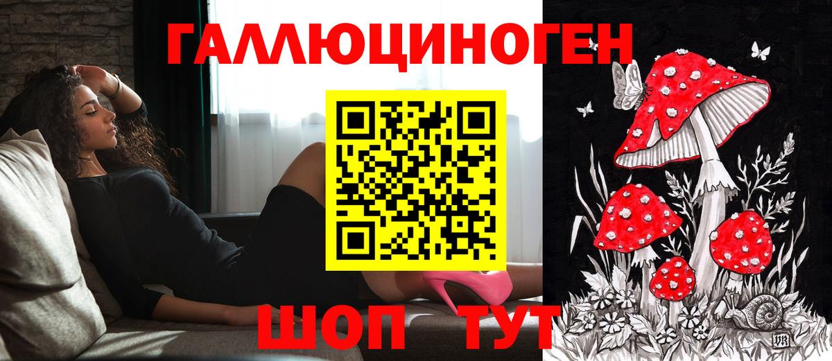 Псилоцибиновые грибы GOLDEN TEACHER Славянск-на-Кубани