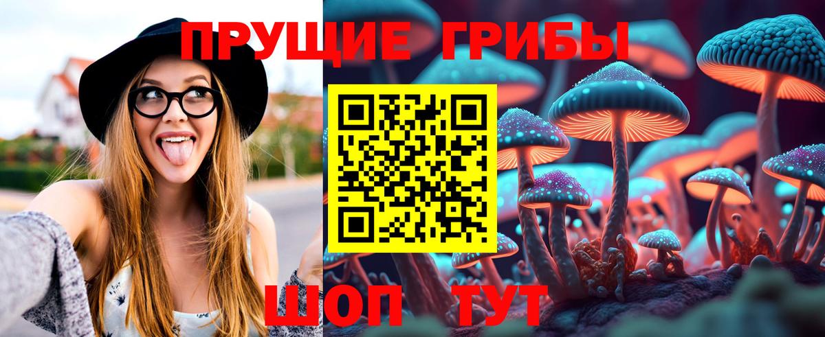 Славянск-на-Кубани  Псилоцибиновые грибы мицелий  Вход с VPN 